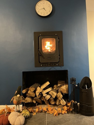 Multi fuel boiler stove 10kw
